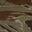 Desert Tiger Stripe