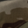 Multicam Arid