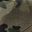 Multicam