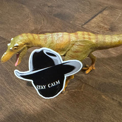 Toy dinosaur with a 'Stay Calm' sticker on a wooden surface and cowboy hat